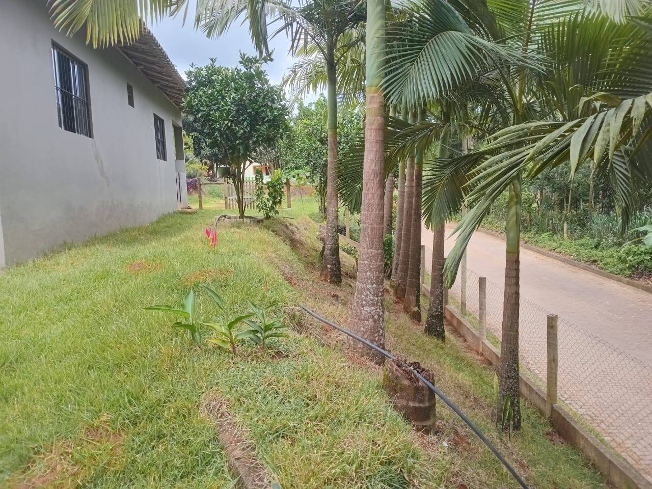 Casa, 2 quartos, 400 m² - Foto 5