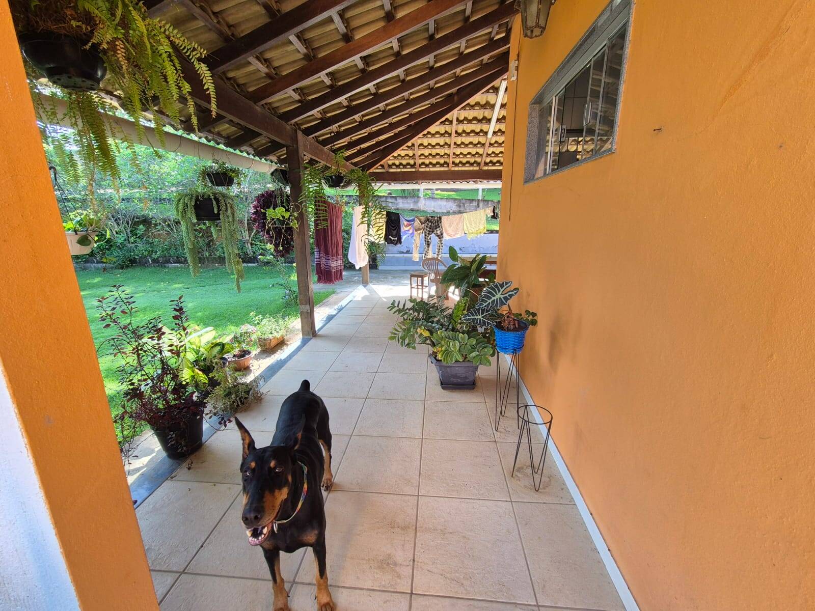 Casa, 4 quartos, 3021 m² - Foto 1