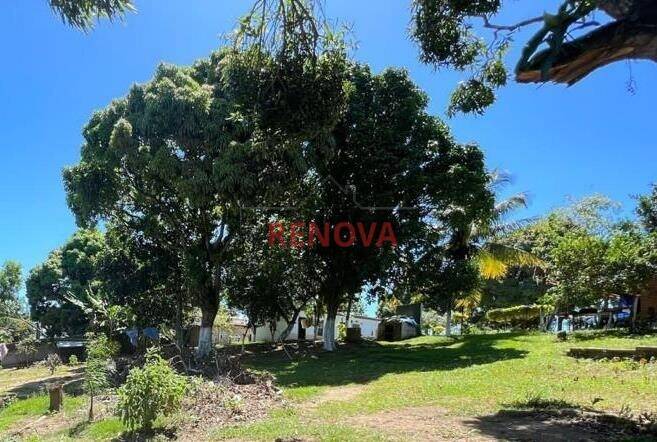 Terreno - Foto 17