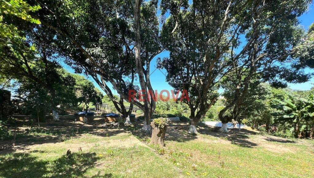 Terreno - Foto 18