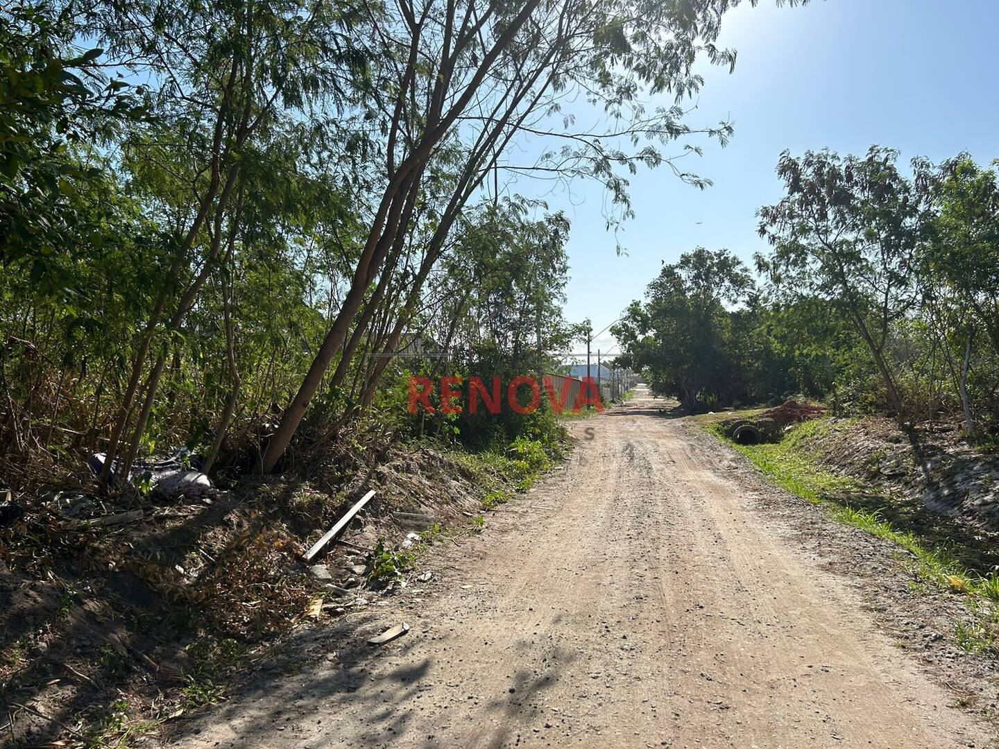 Terreno, 5 hectares - Foto 1