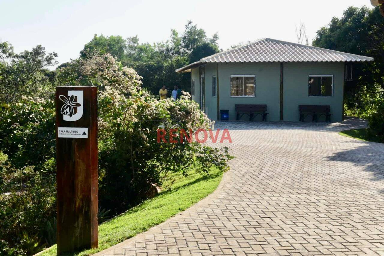Terreno, 5 hectares - Foto 12