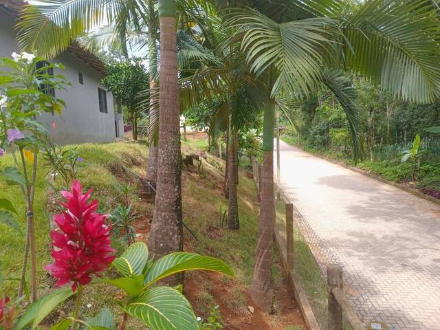 Casa para Venda em Domingos Martins - 4